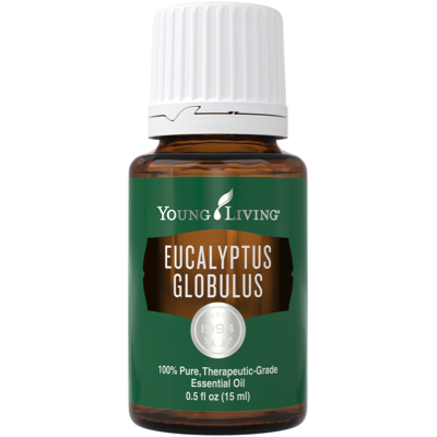 Eucalyptus Globulus - 100% naturreines ätherisches Öl von Young Living