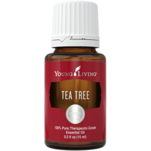 Teebaum Teebaumöl - Tea Tree - 100% naturreines ätherisches Öl von Young Living