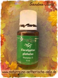 Eucalyptus Globulus - 100% naturreines ätherisches Öl von Young Living