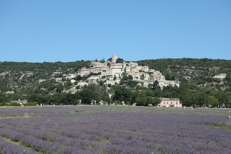 Simiane-la-Rotonde-Lavendelfarm-Frankreich-YoungLiving