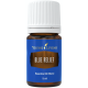 Blue Relief Young Living