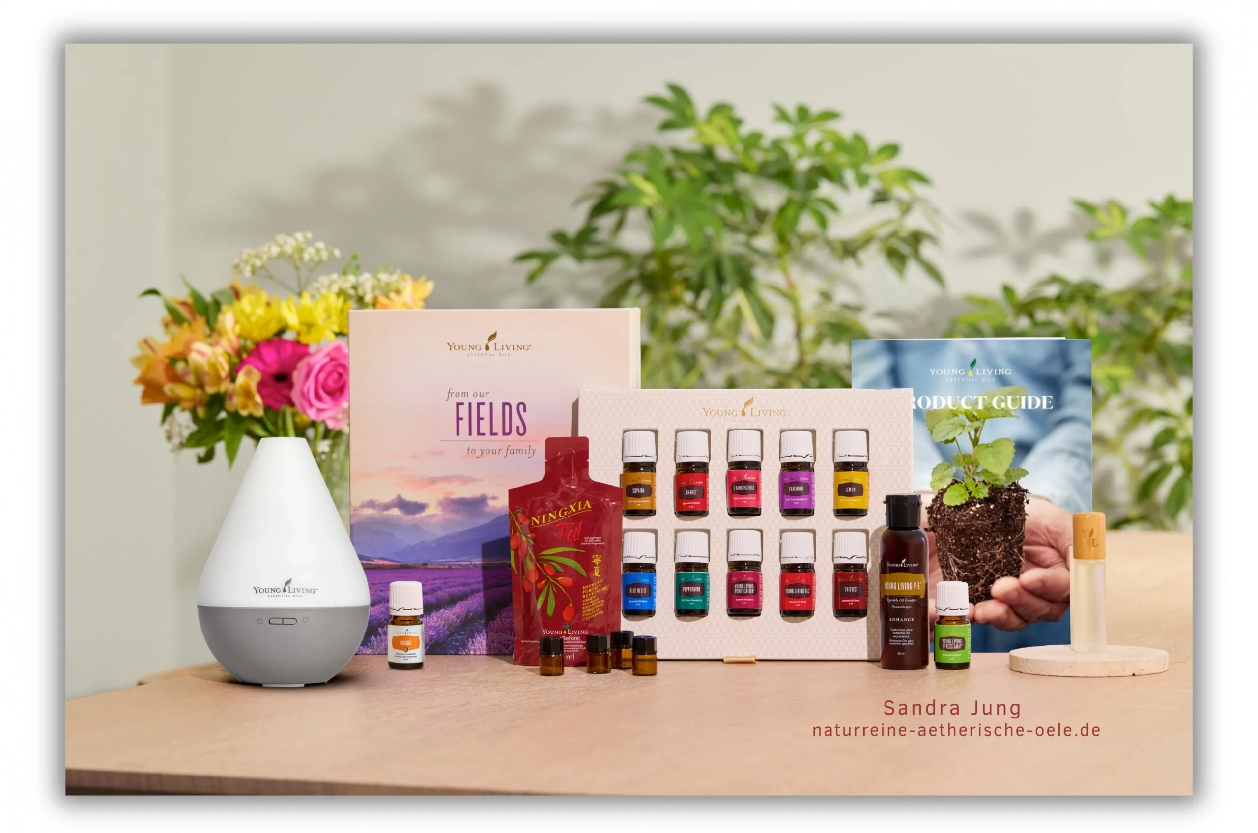 Premium Starterset mit Dewdrop Diffuser